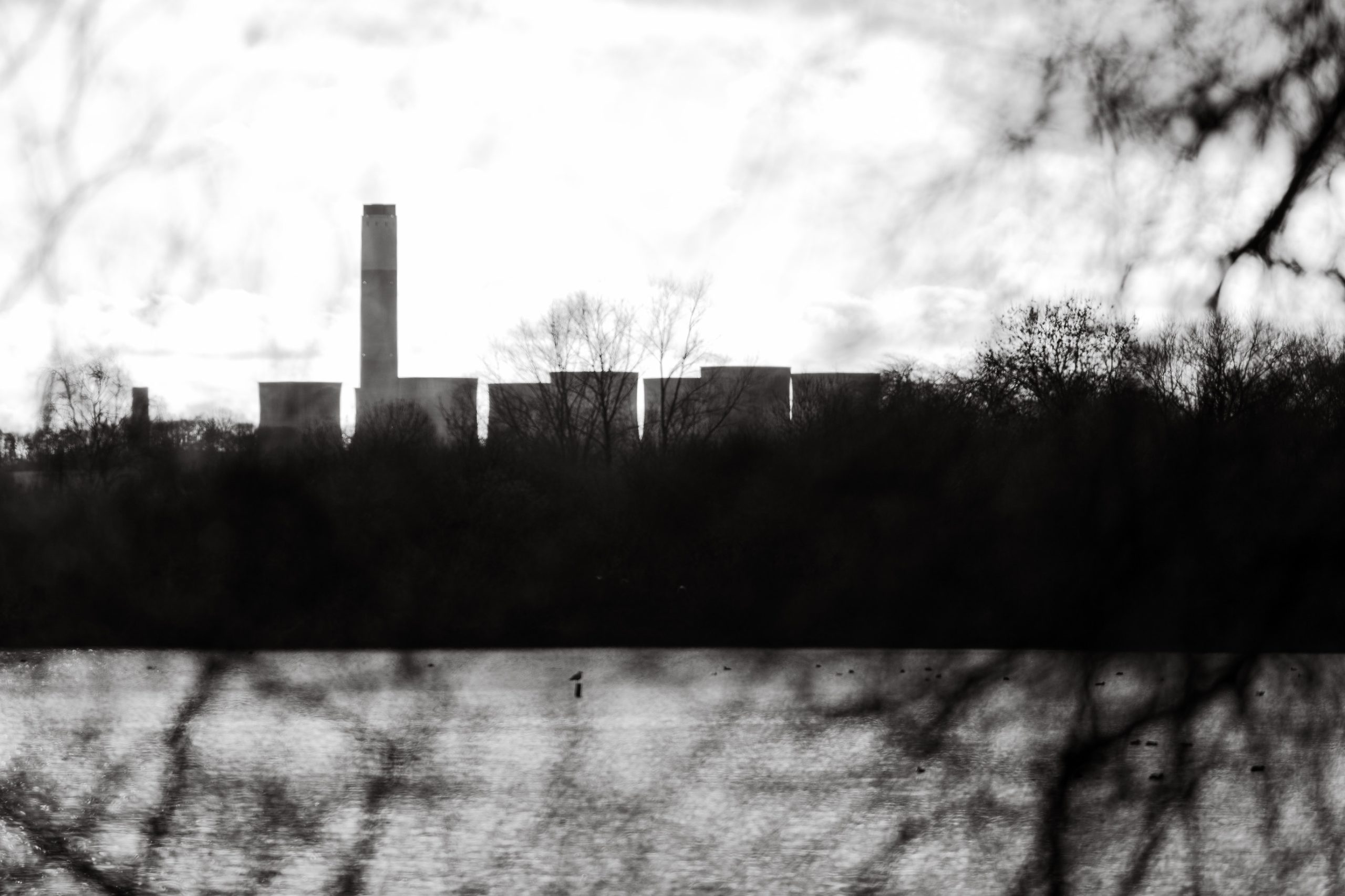 Week 1 – Minimalism | 2026 Photo Challenge